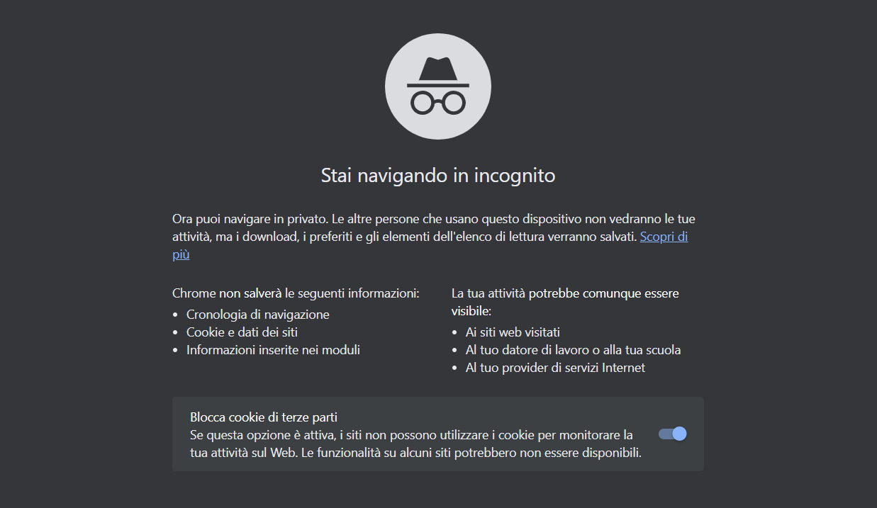 navigazione in incognito Google