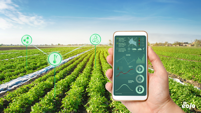 IoT in agricoltura