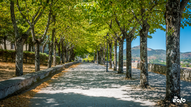 viale Alatri