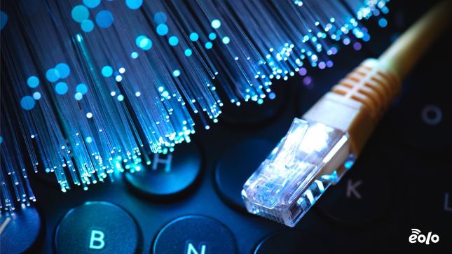 fibra ottica