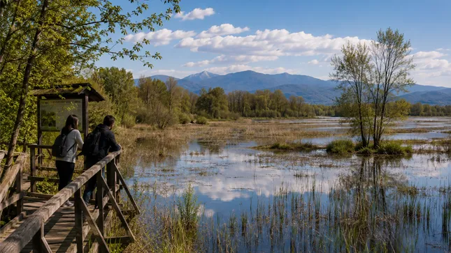 La Riserva Naturale Palude Brabbia