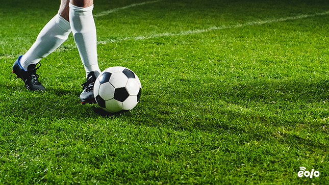 palla da calcio